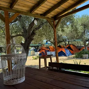 Camping Olive Trees Qeparo